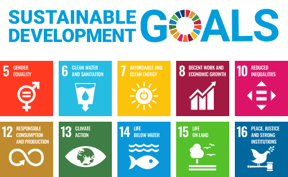 LinkedIn-UN-SDGs-1