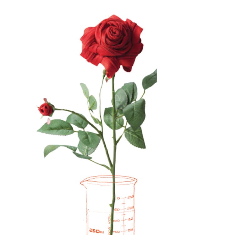 Rose-1 Rose-1